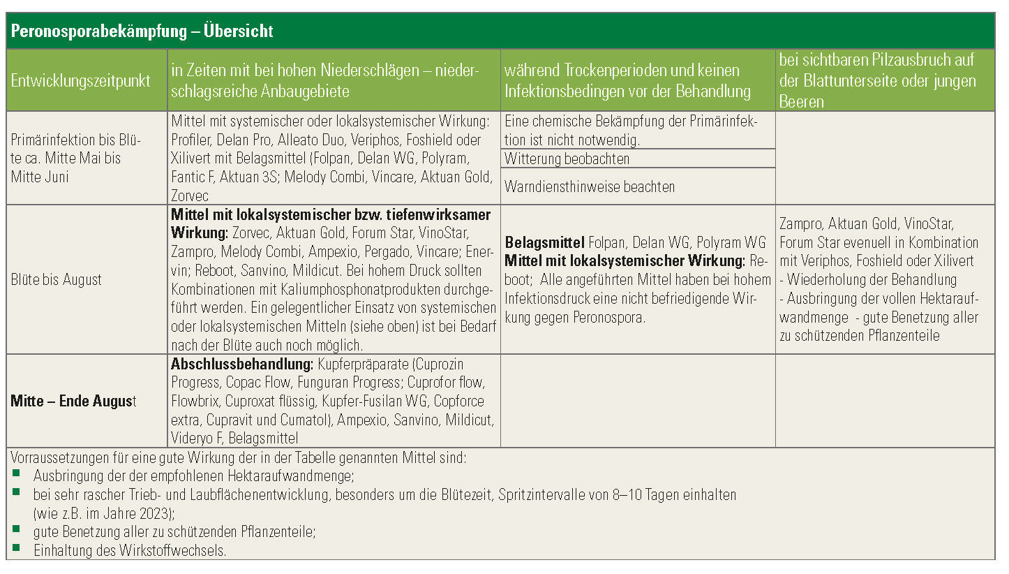 Peronsoporabekämpfung.jpg © Österreichischer Weinbauverband