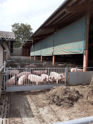 Schweinestall Mittermayr PD.jpg Schweinestall Mittermayr PD.jpg