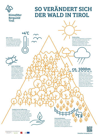 Illustration Klimafitter Bergwald Tirol Endversion.jpg