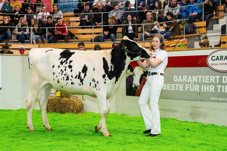 Karoline Strauß mit Silversto © Fritz Baumann