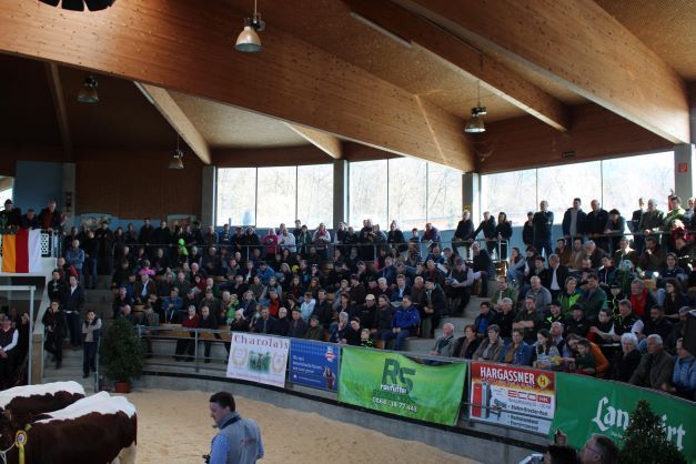 Fleischrindermesse St. Donat © Frießnegger