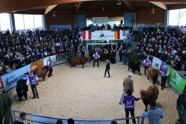 Fleischrindermesse St. Donat © Frießnegger