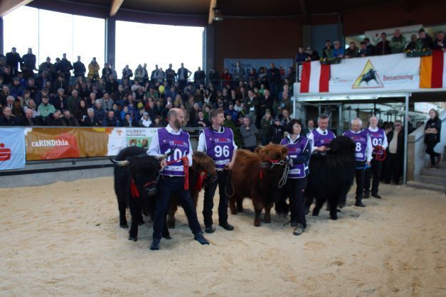 Fleischrindermesse St. Donat © Frießnegger