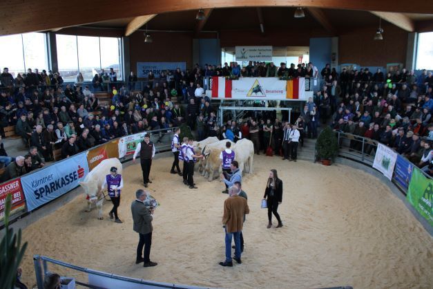 Fleischrindermesse St. Donat © Frießnegger