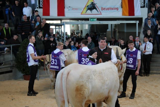 Fleischrindermesse St. Donat © Frießnegger