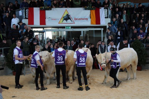 Fleischrindermesse St. Donat © Frießnegger