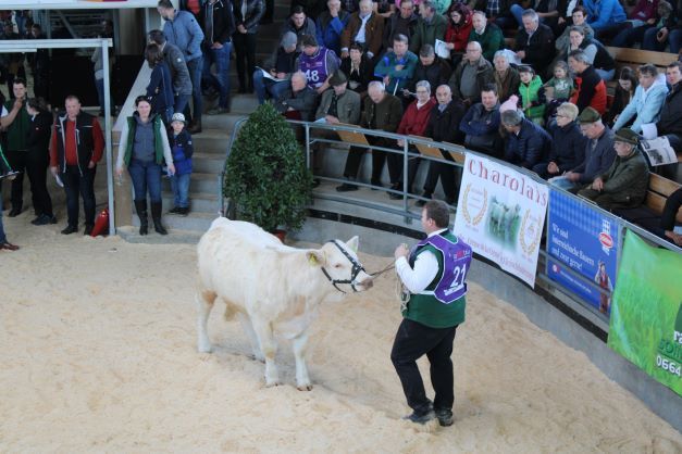 Fleischrindermesse St. Donat © Frießnegger