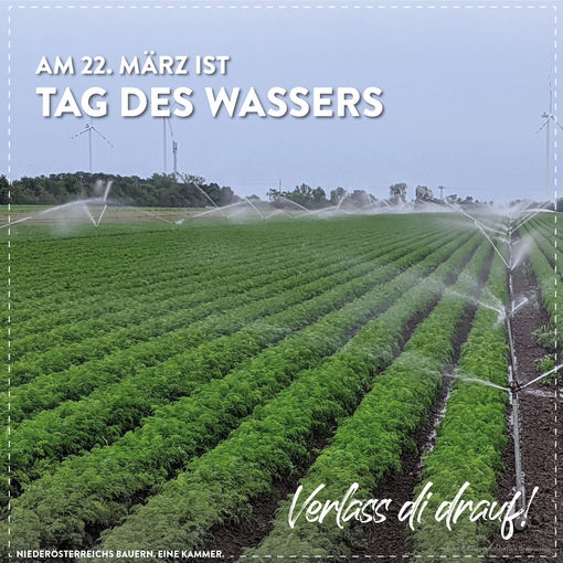 Tag des Wassers.jpg © Marlene Weitzenböck/LK Niederösterreich