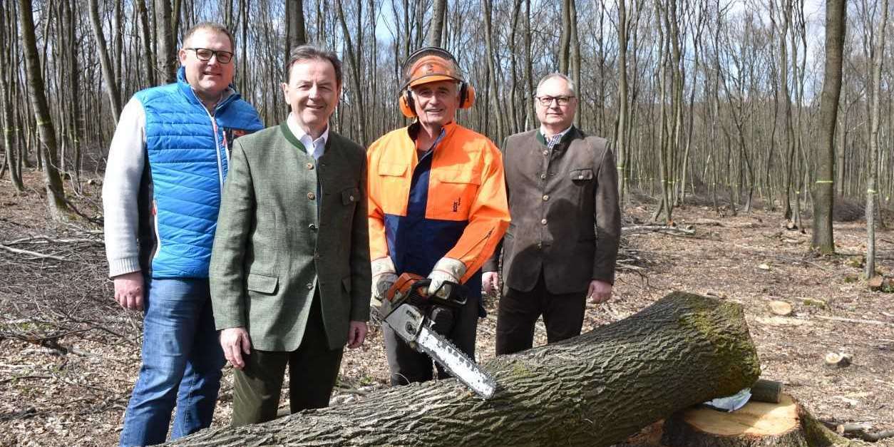 Wald 1.jpg © Tesch-Wessely/LK Burgenland Wald 1.jpg © Tesch-Wessely/LK Burgenland