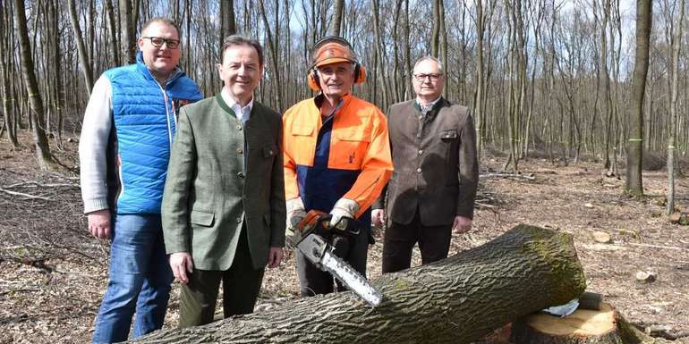 Wald 1.jpg © Tesch-Wessely/LK Burgenland Wald 1.jpg © Tesch-Wessely/LK Burgenland
