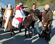 palmesel2.jpg © Standl palmesel2.jpg © Standl