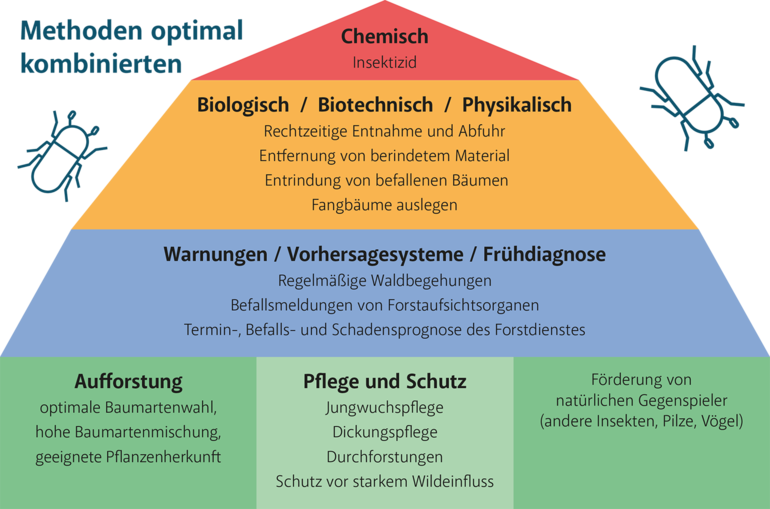 Pyramide_Massnahmen_2_196x129mm.png © Quelle: Land Tirol