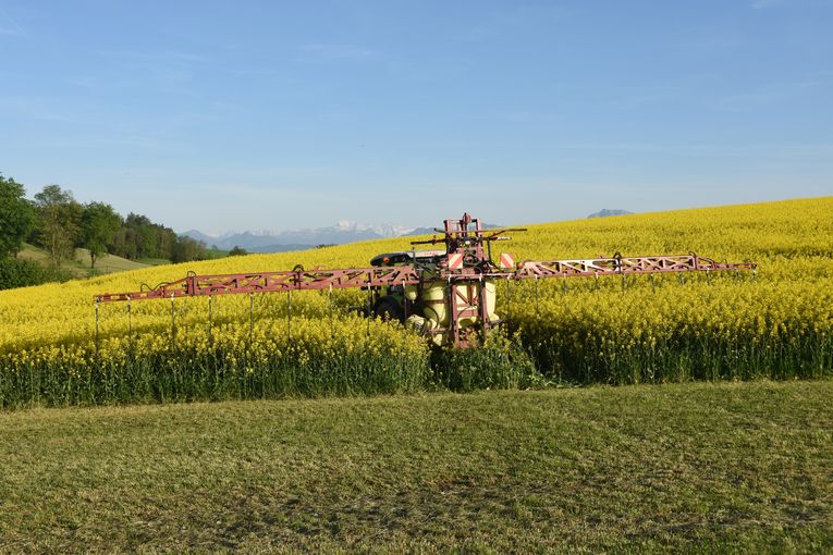 Durch den Einsatz von Dropleg-Düsen werden die Blüten nicht mit Pflanzenschutzmittelwirkstoffen benetzt..jpg © LK OÖ/Köppl