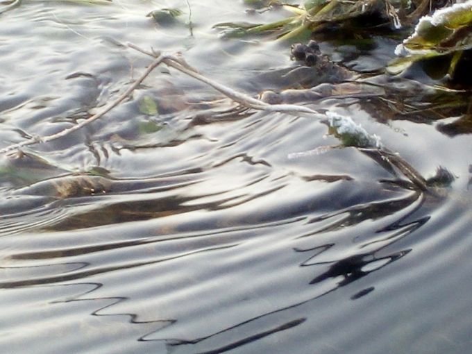 Element Wasser_DI Peszt.jpg © DI Willi Peszt Element Wasser_DI Peszt.jpg © DI Willi Peszt