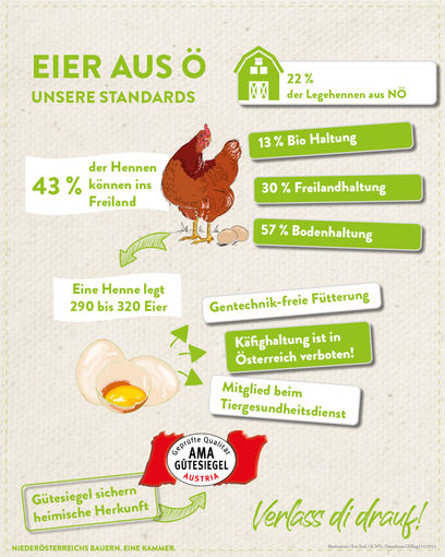 Infografik 2023 Eier aus Österreich - unsere Standards.jpg