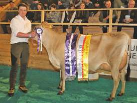 Jersey: Gesamt- und Eutersiegerin Shakira von Silvia und Paul Hettegger, Unterharbach in Großarl © T. Sendlhofer Jersey: Gesamt- und Eutersiegerin Shakira von Silvia und Paul Hettegger, Unterharbach in Großarl © T. Sendlhofer