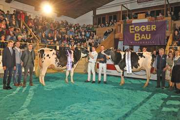 Holstein: Gesamtsiegerin MbH Angelika von Christian Deutinger, Mitternacht in Saalfelden und Gesamtreserve- und Euterreservesiegerin HH Almrausch von Markus Hollaus, Mühlhof in Neukirchen. © T. Sendlhofer