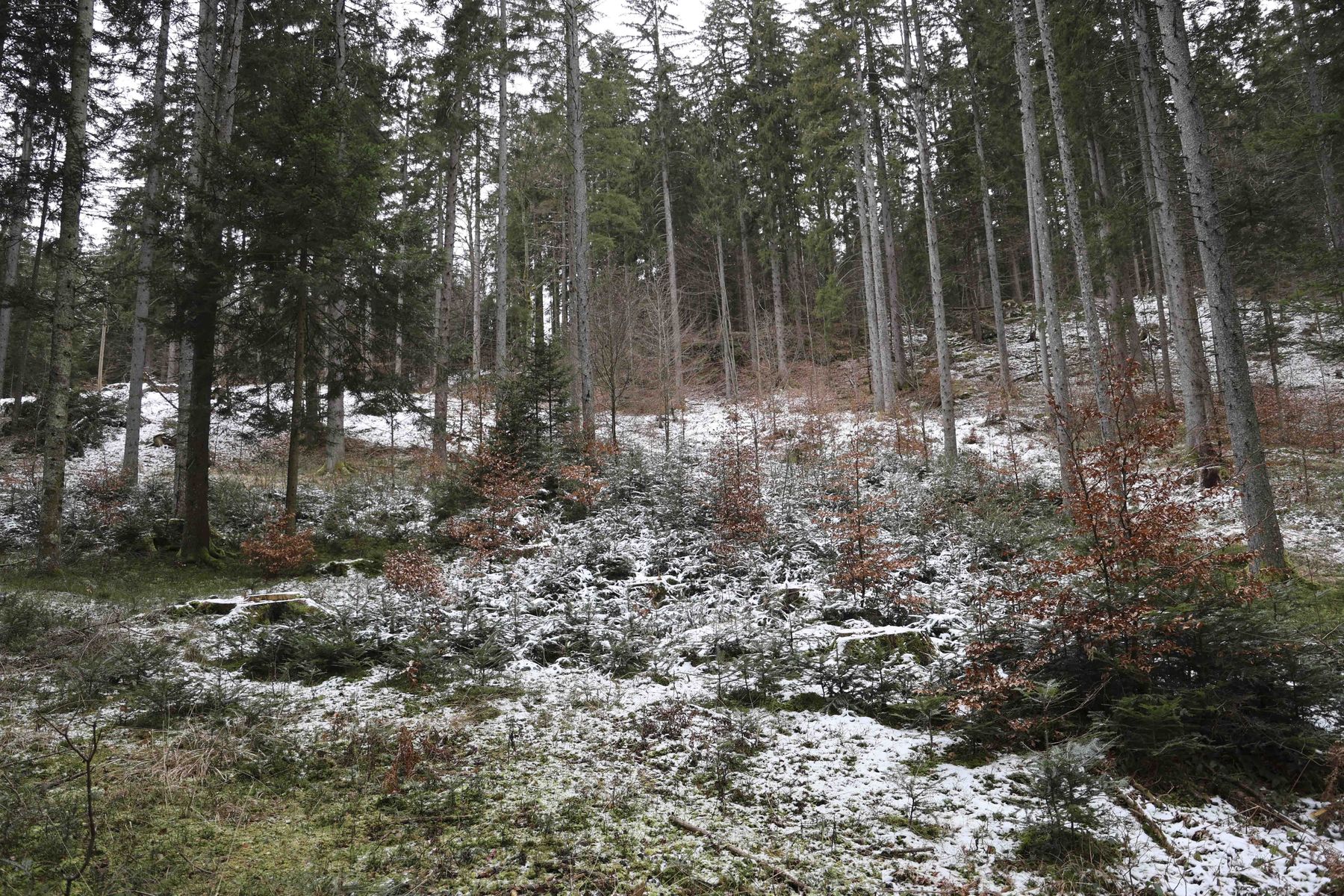 © Paula Pöchlauer-Kozel/LK Niederösterreich © Paula Pöchlauer-Kozel/LK Niederösterreich