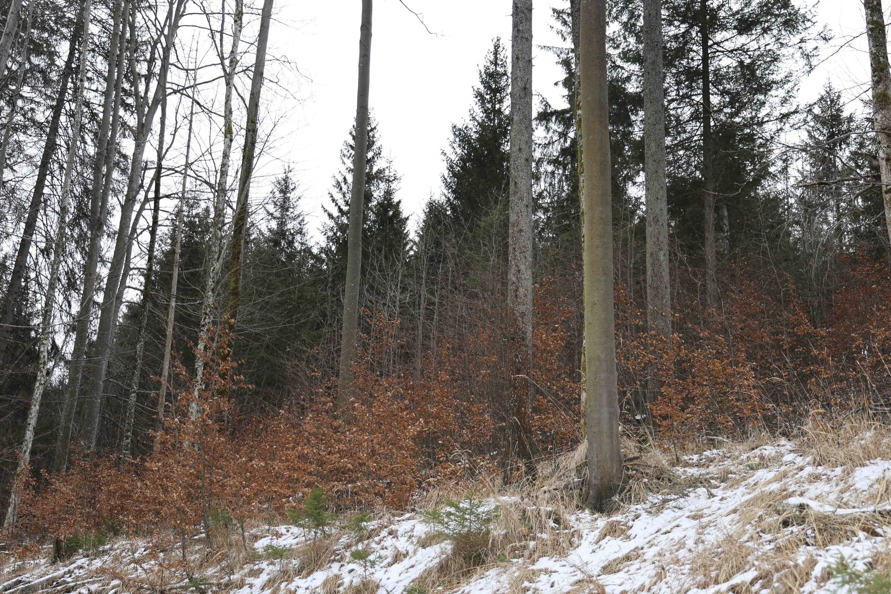 © Paula Pöchlauer-Kozel/LK Niederösterreich © Paula Pöchlauer-Kozel/LK Niederösterreich