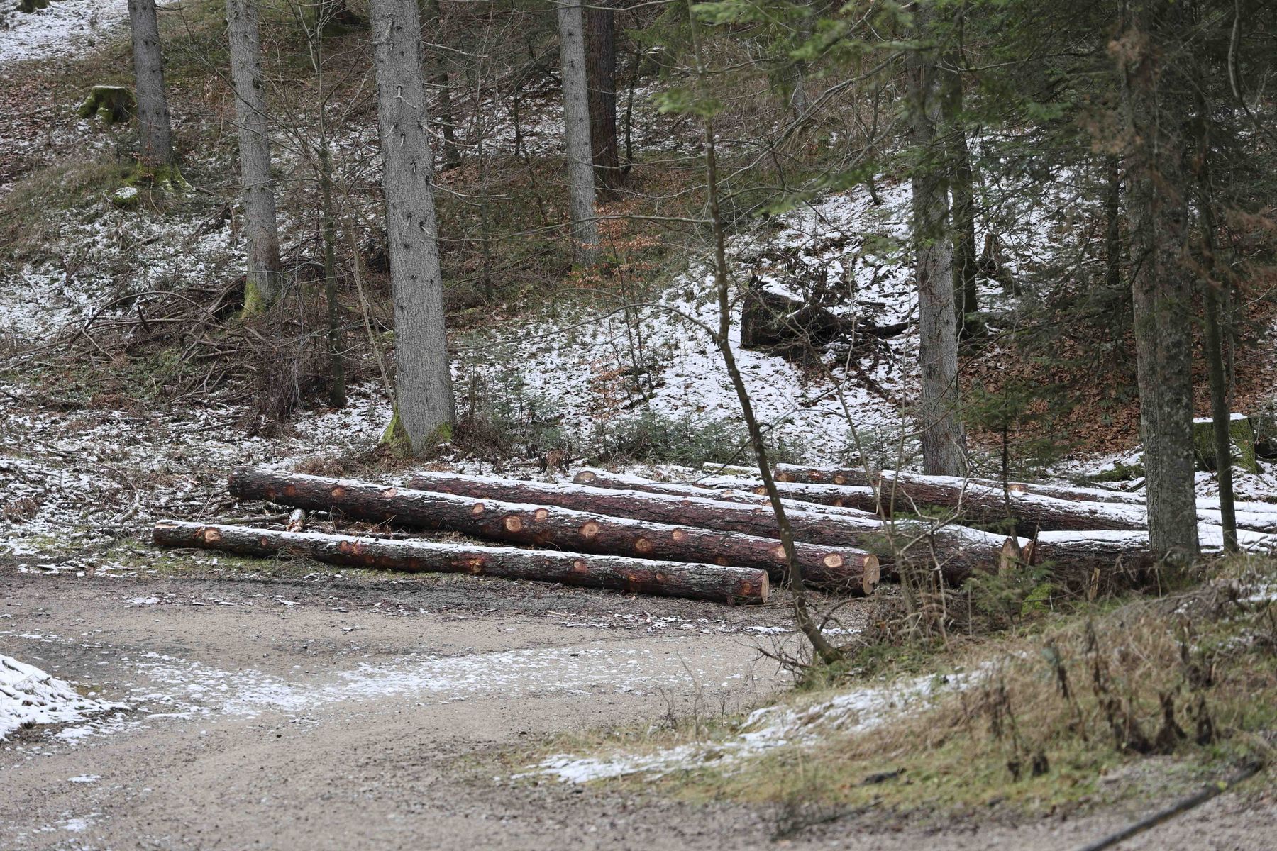 © Paula Pöchlauer-Kozel/LK Niederösterreich © Paula Pöchlauer-Kozel/LK Niederösterreich