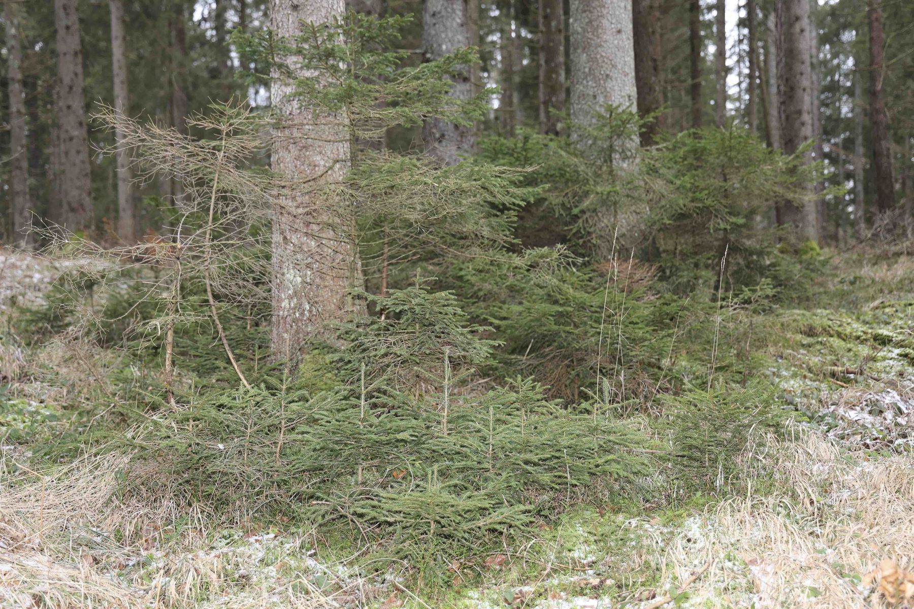 © Paula Pöchlauer-Kozel/LK Niederösterreich © Paula Pöchlauer-Kozel/LK Niederösterreich