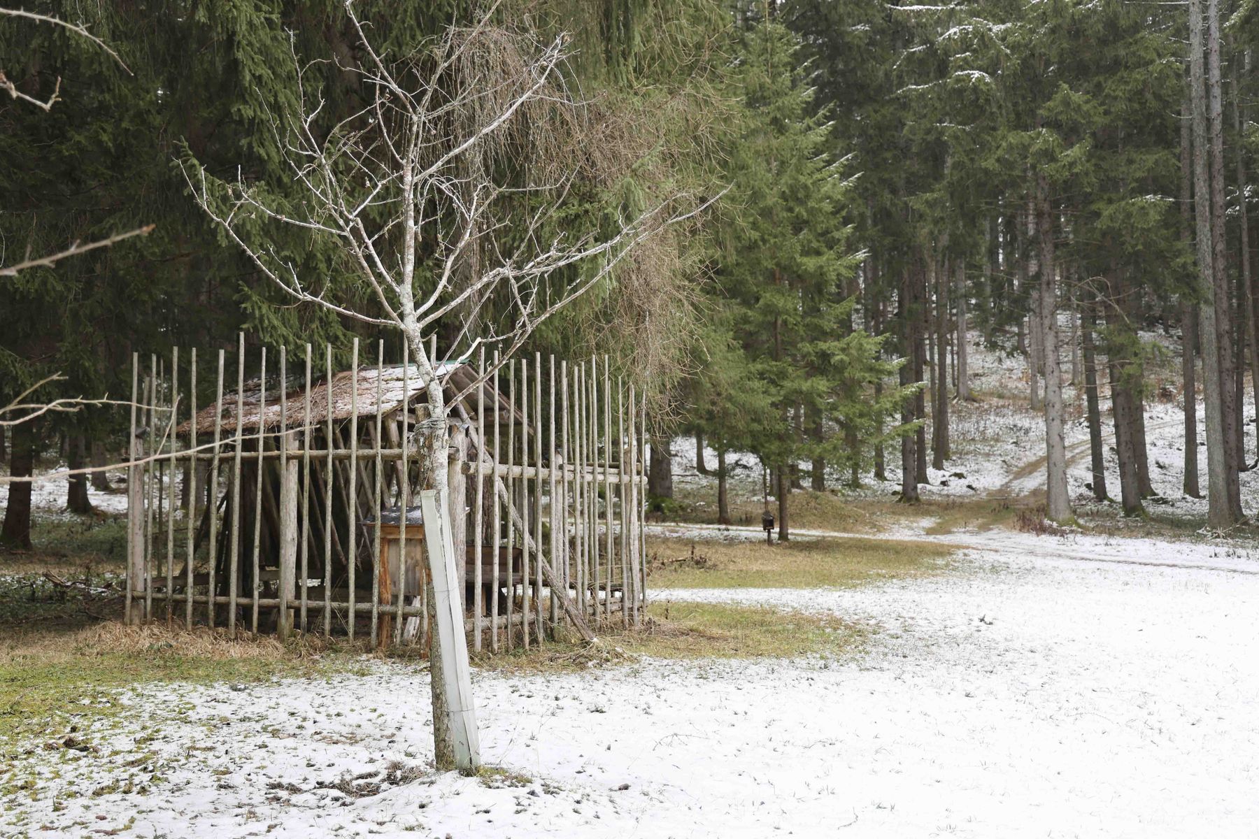 © Paula Pöchlauer-Kozel/LK Niederösterreich © Paula Pöchlauer-Kozel/LK Niederösterreich