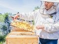 Imker bei der Arbeit © Georg Pomaßl/LK Niederösterreich