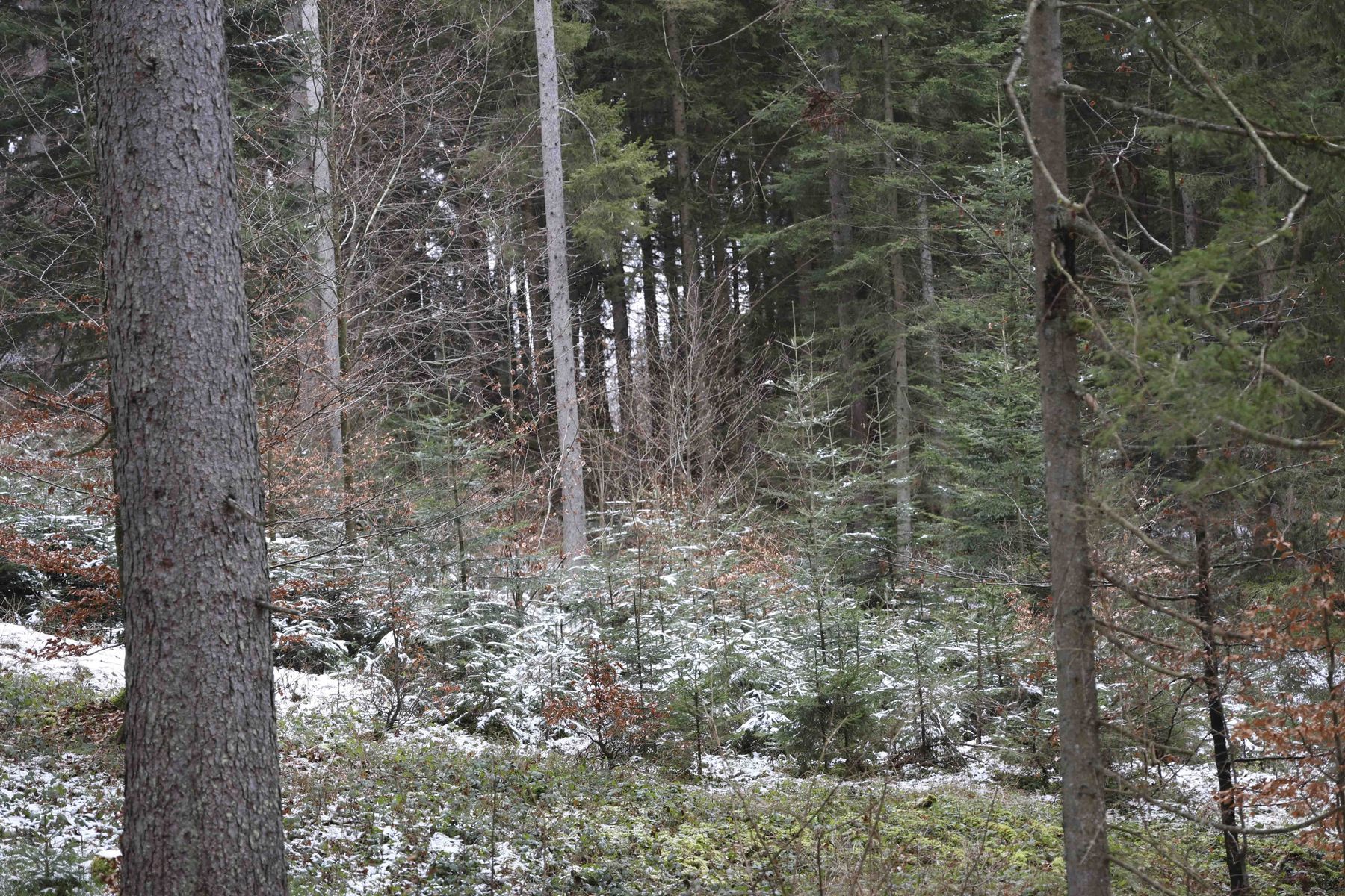 © Paula Pöchlauer-Kozel/LK Niederösterreich © Paula Pöchlauer-Kozel/LK Niederösterreich