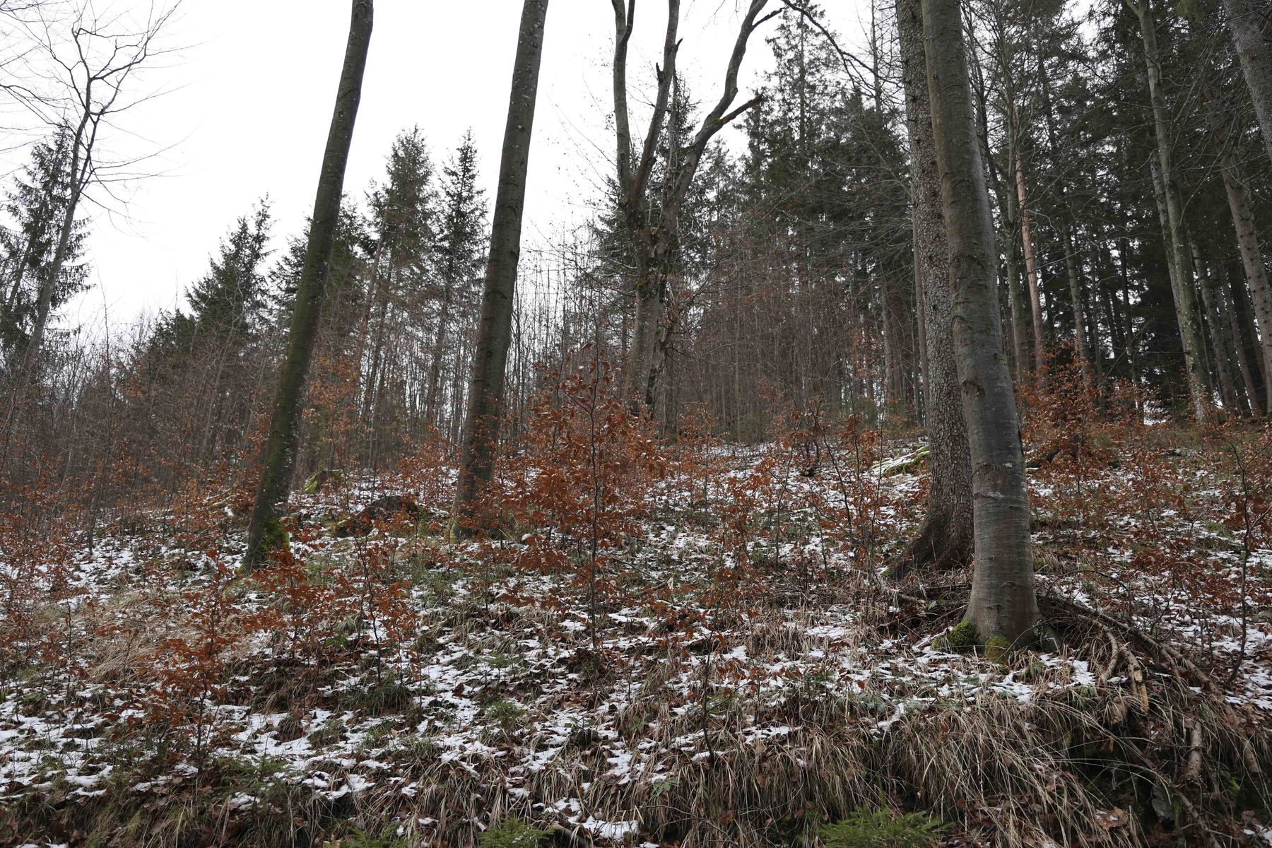 © Paula Pöchlauer-Kozel/LK Niederösterreich © Paula Pöchlauer-Kozel/LK Niederösterreich