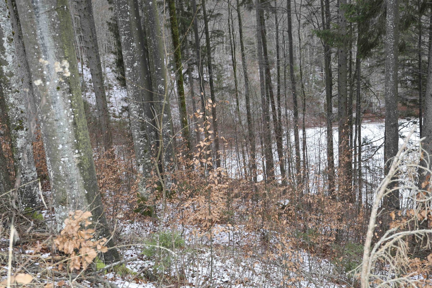 © Paula Pöchlauer-Kozel/LK Niederösterreich © Paula Pöchlauer-Kozel/LK Niederösterreich