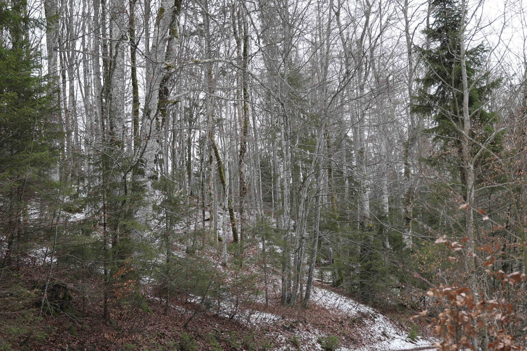 © Paula Pöchlauer-Kozel/LK Niederösterreich © Paula Pöchlauer-Kozel/LK Niederösterreich