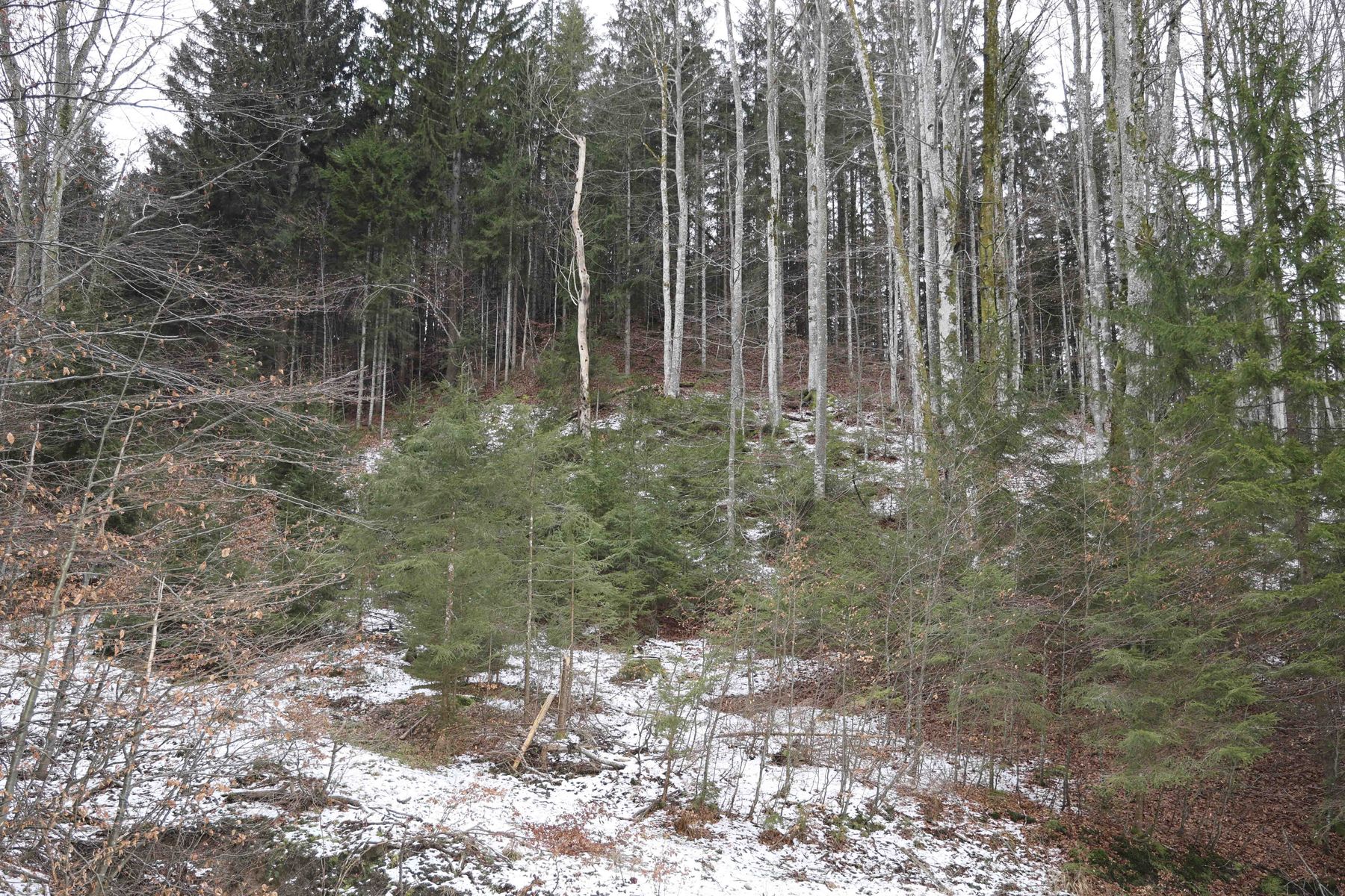 © Paula Pöchlauer-Kozel/LK Niederösterreich © Paula Pöchlauer-Kozel/LK Niederösterreich