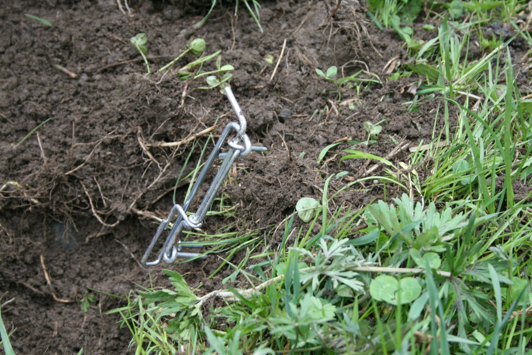 Zangenfalle.jpg © Egger Zangenfalle.jpg © Egger