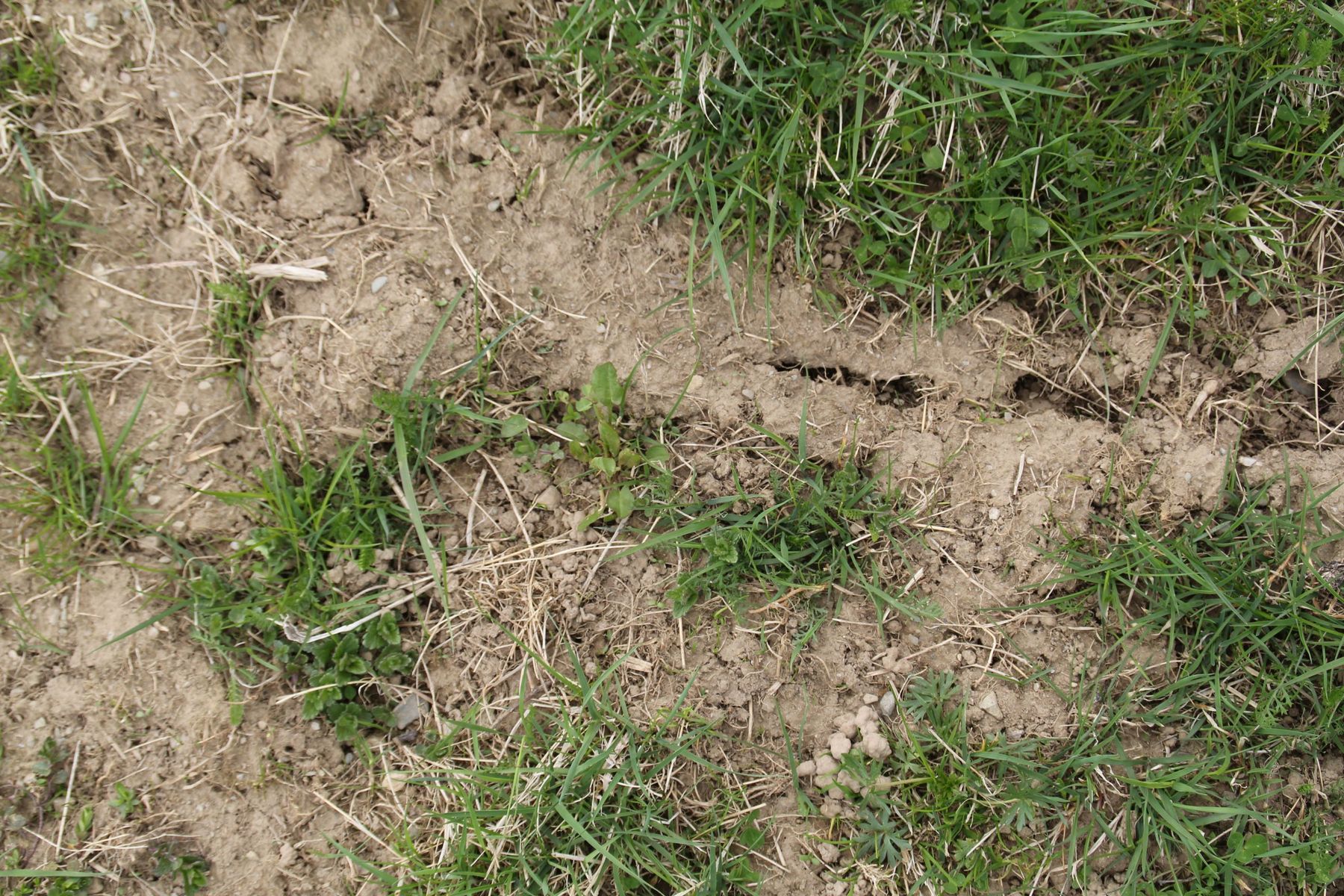 IMG_9680.jpg © Egger IMG_9680.jpg © Egger