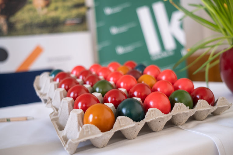 Pressekonferenz Eier © LK Steiermark/Danner