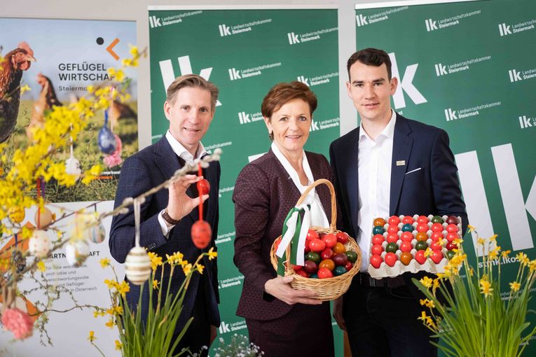 Pressekonferenz Eier © LK Steiermark/Danner