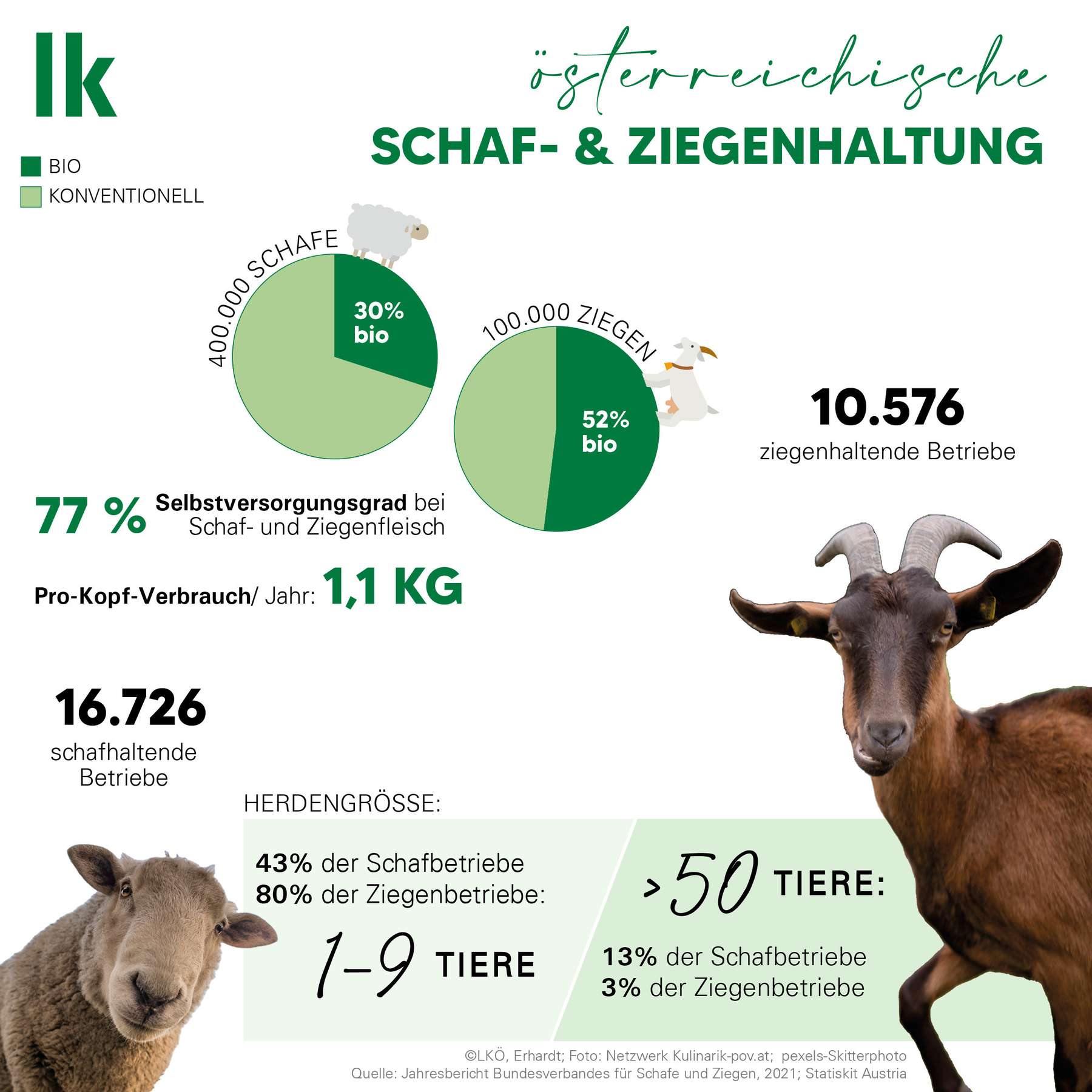 Grafik Schafe und Ziegen 2023