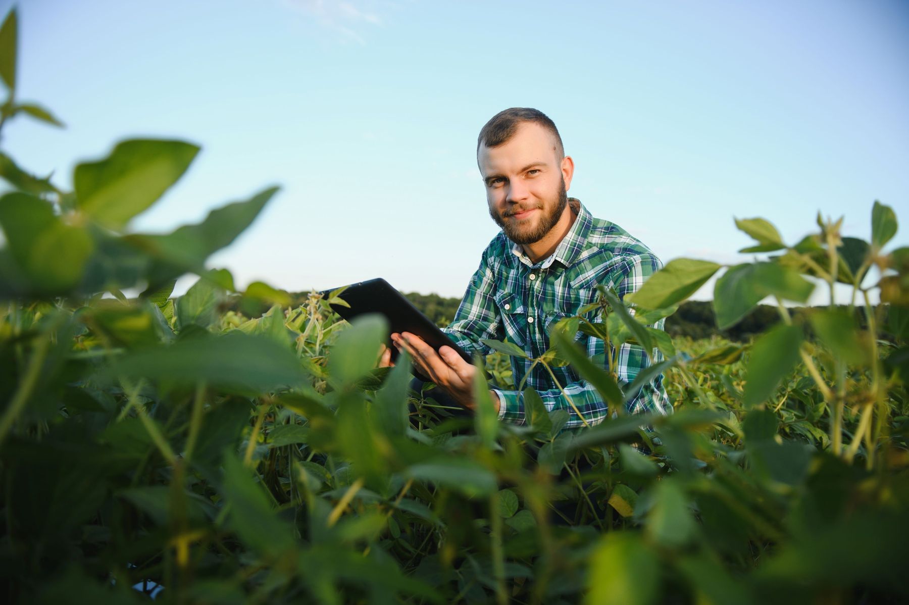 Aufzeichnungsbonus.jpg © stock.adobe.com Aufzeichnungsbonus.jpg © stock.adobe.com