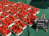 sb15_mt_erdbeeren.jpg © Dürnberger