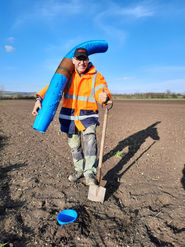 Pheromonfallen vergraben_Zuckerrübe.jpg © Kraus Pheromonfallen vergraben_Zuckerrübe.jpg © Kraus