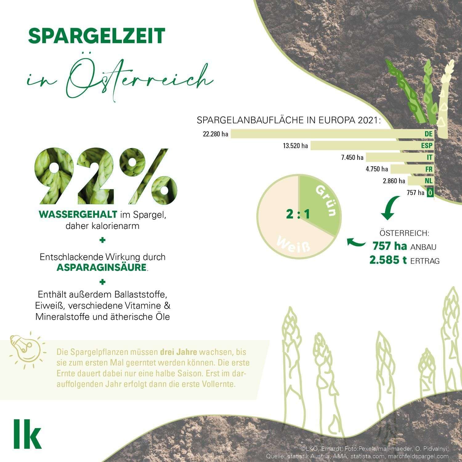 Grafik Spargel 1