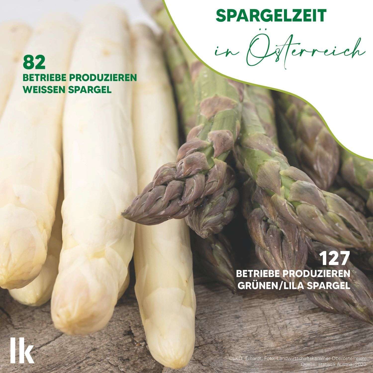 Grafik Spargel 2