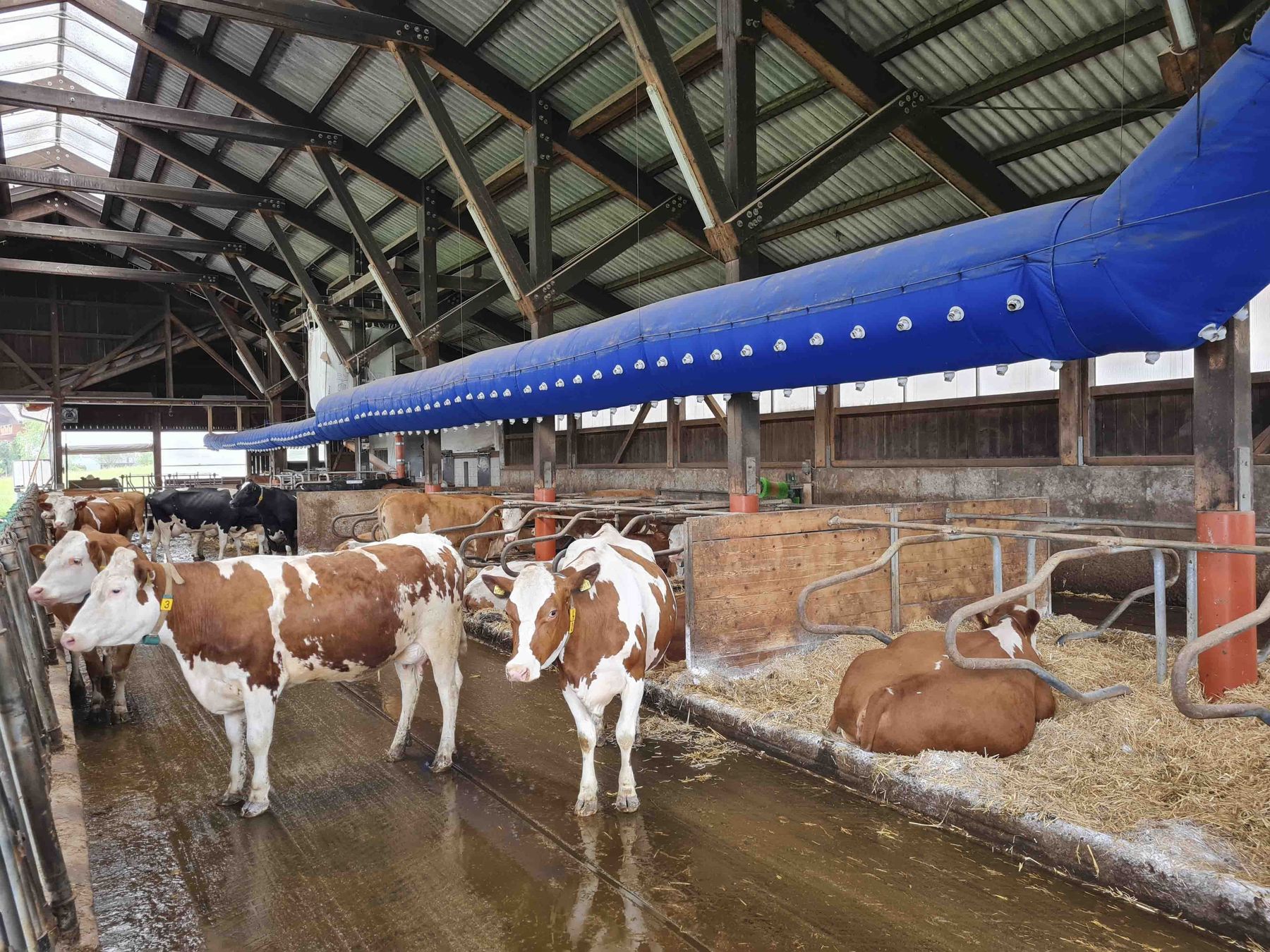 perforated livestock ventilation air duct