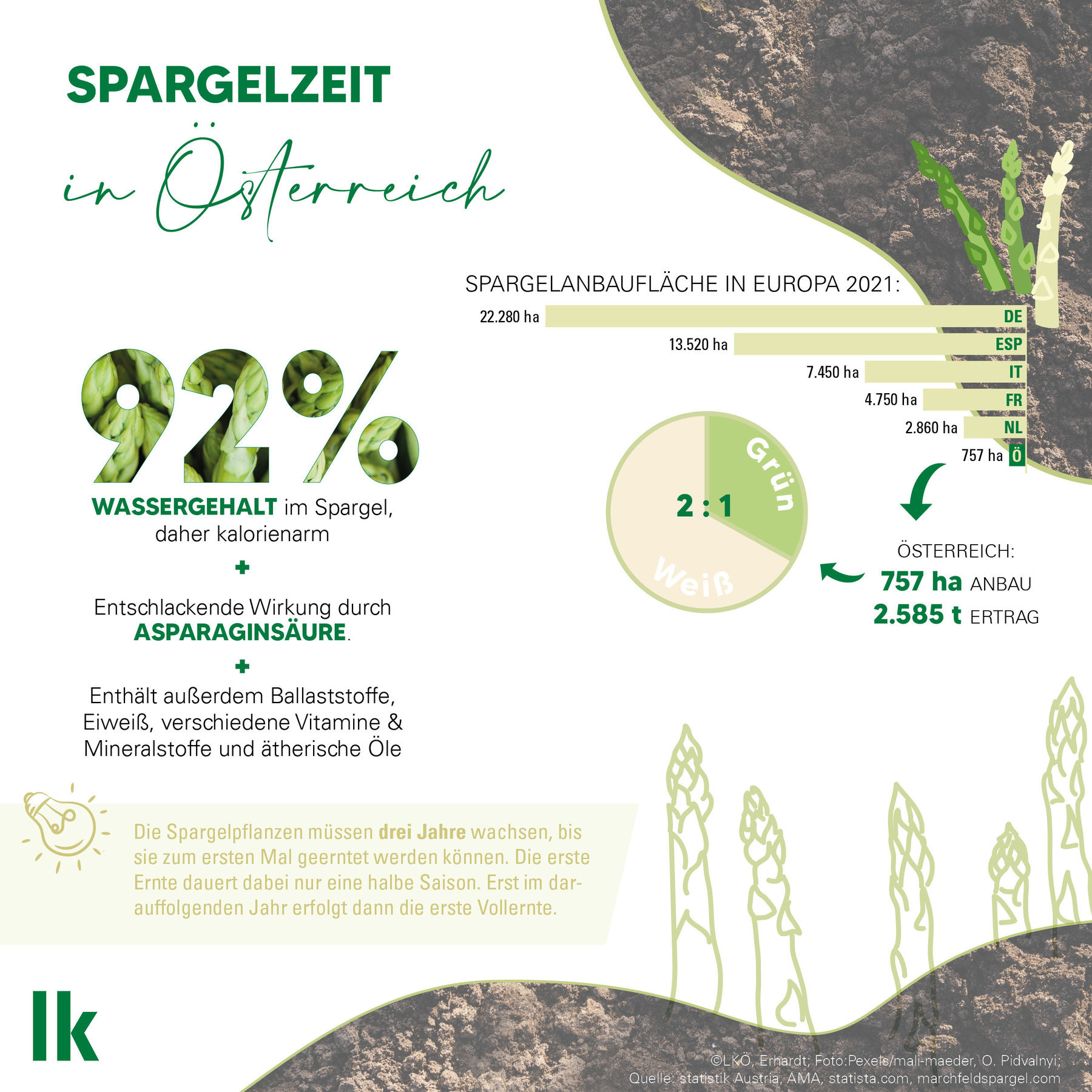spargel_grafik_final_01.jpg © LK Österreich spargel_grafik_final_01.jpg © LK Österreich