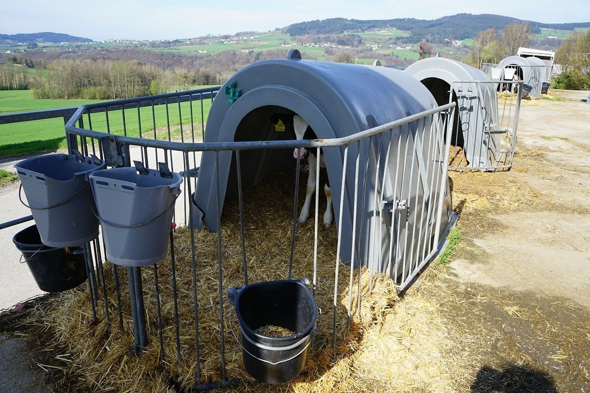 DSC01275.jpg © Julia Pflügl BSc DSC01275.jpg © Julia Pflügl BSc