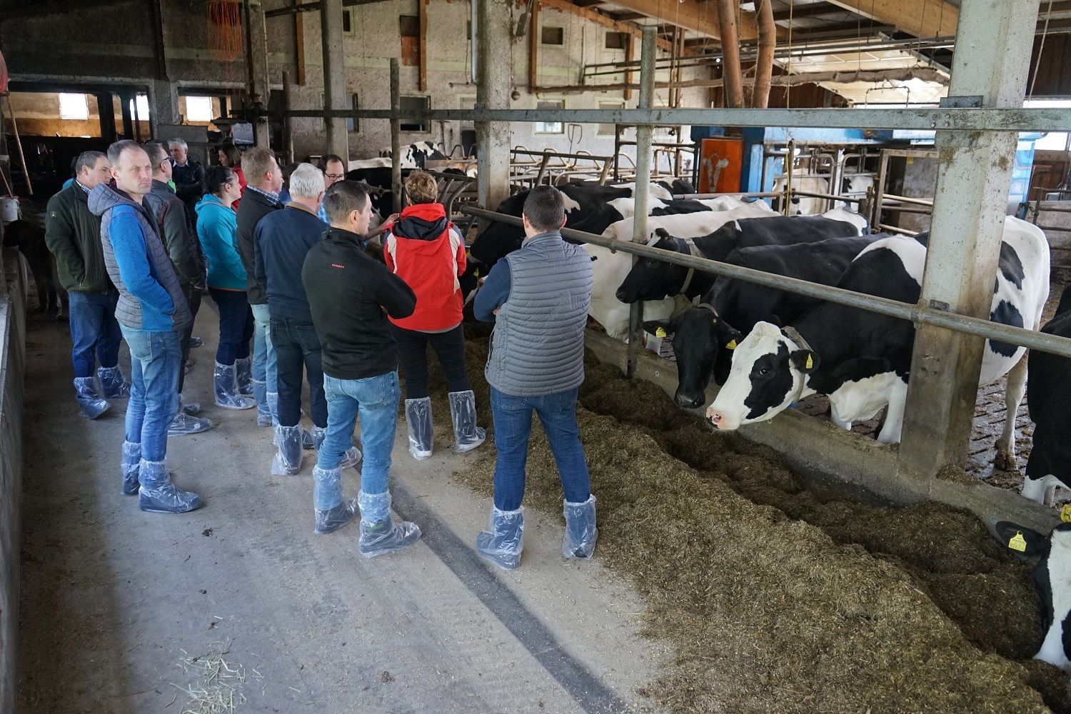 DSC01279.jpg © Julia Pflügl BSc DSC01279.jpg © Julia Pflügl BSc