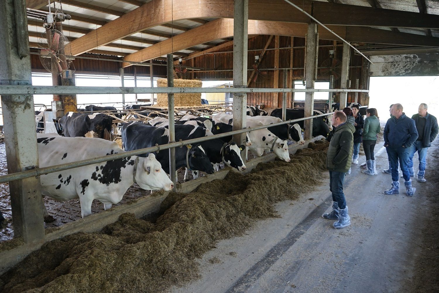 DSC01281.jpg © Julia Pflügl BSc DSC01281.jpg © Julia Pflügl BSc