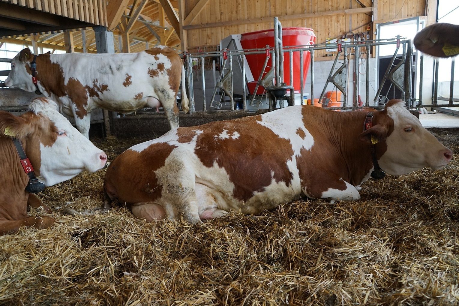 DSC01321.jpg © Julia Pflügl BSc DSC01321.jpg © Julia Pflügl BSc