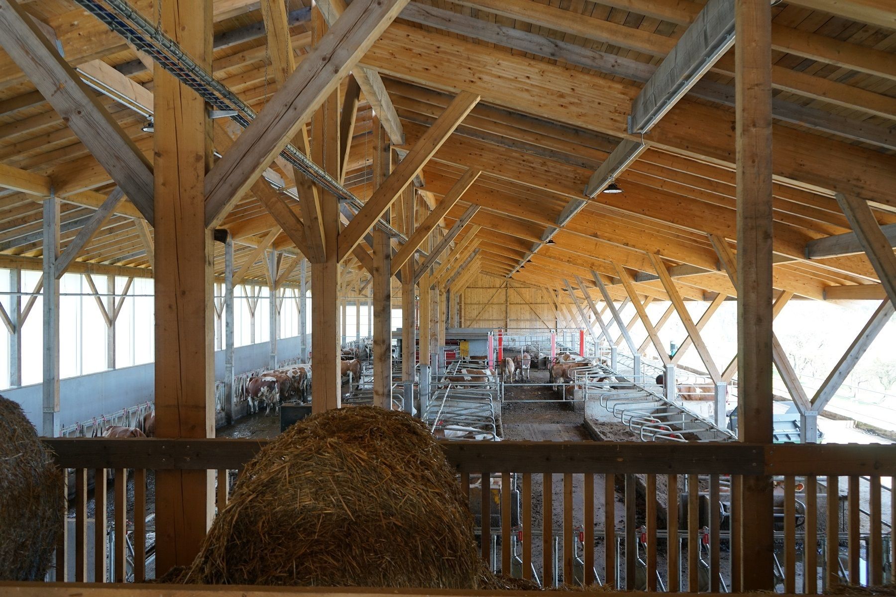 DSC01331.jpg © Julia Pflügl BSc DSC01331.jpg © Julia Pflügl BSc