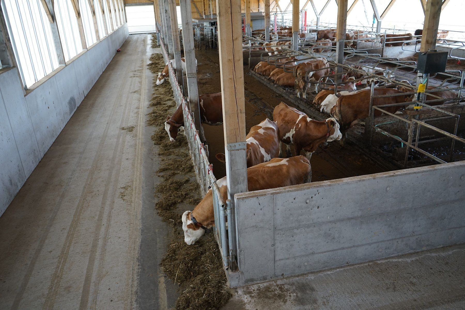 DSC01340.jpg © Julia Pflügl BSc DSC01340.jpg © Julia Pflügl BSc